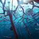 Illustration for article titled This is my new favorite Sci-Fi Universe